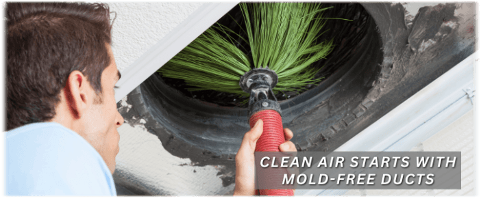 Air Duct Mold Removal in Frederick MD